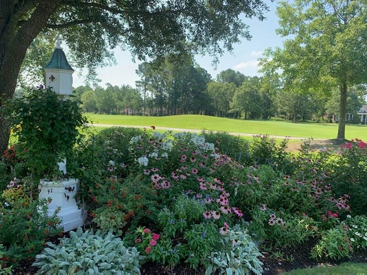 Photo of grounds at River Landing