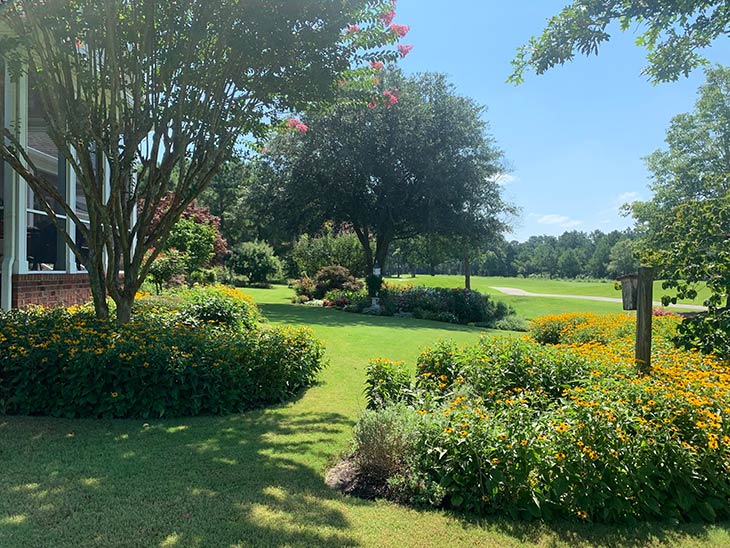 Photo of grounds at River Landing
